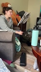 What It's Like to Play the Flute When You Have Cats