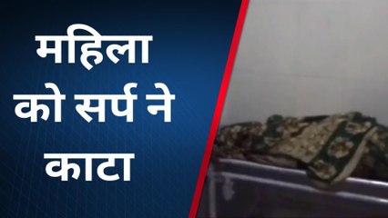खरगापुर: आंगनवाड़ी सहायिका को जहरीले सांप ने काटा, हुई मौत