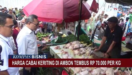 Download Video: Mendag Tinjau Harga Kebutuhan Pokok di Ambon, Harga Cabai Keriting Tembus Rp70 Ribu per Kilogram!