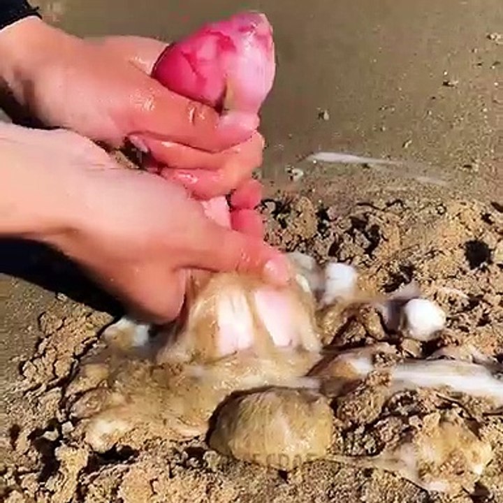 Taking a Shell Tour to an Island to Look for Beach Treasures