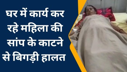 भीलवाड़ा: घर में कार्य कर रहे महिला को सांप ने काटा, गंभीर हालत में इलाज जारी