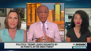 GOP Strategist on MSNBC Says Party’s Candidates Have to Stop Promising ‘Ridiculous Pardons’ For Trump, ‘Which By The Way’ Assume He’s Guilty