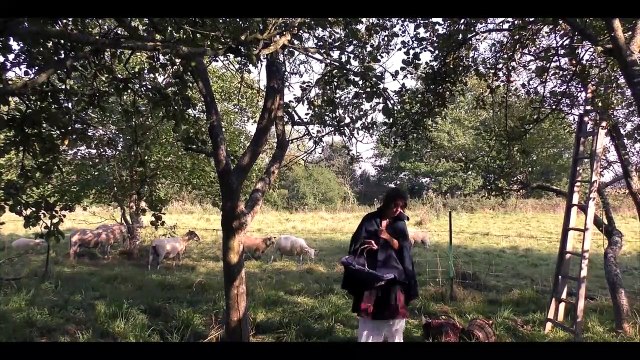 Elles ont songé au bonheur Bande-annonce (FR)