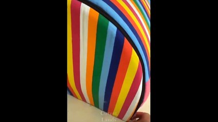 Super Cute Dogs – The Cutest Dog Video Compilation 2023