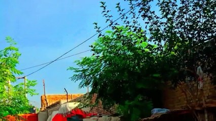 ZAHID HUSSAIN VLOG @zahidhussainbahawalpuri https://youtu.be/zZsn1rhHMjc