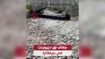 جفاف نهر ديروينت في بريطانيا