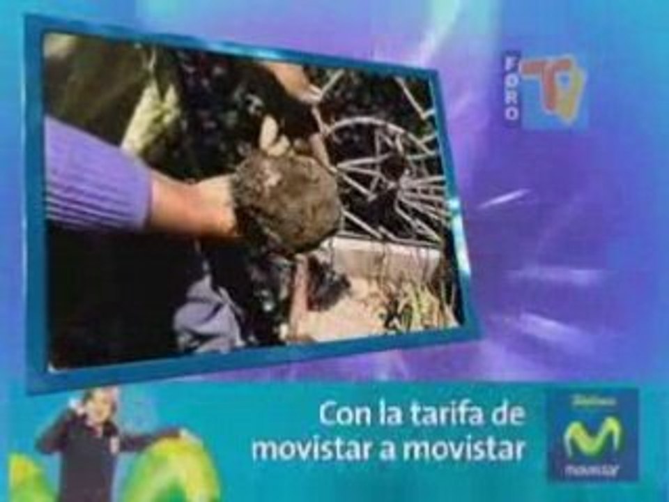 ERRADICACIÓN LOS AFECTA - PUNO