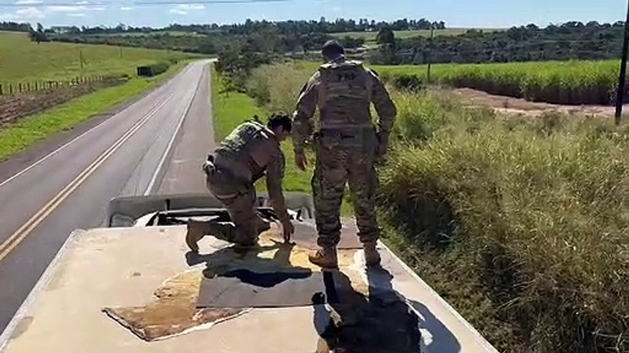 PRF apreende quase três toneladas de maconha no Paraná; veja