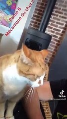 Épisode mécanique sur le scooter du chef
