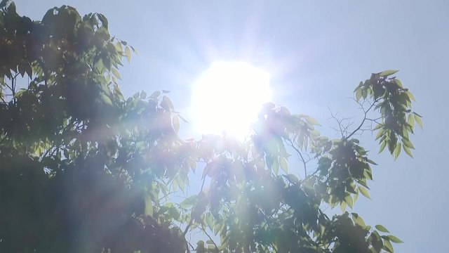 [날씨] 서쪽 폭염특보 속 더위 절정...자외선·오존 주의 / YTN