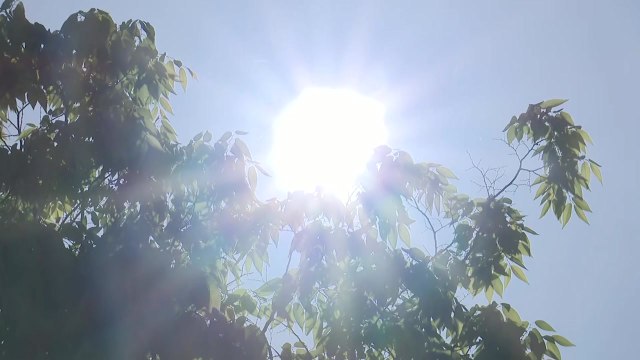 [날씨] 서쪽 폭염특보 속 때 이른 더위 절정...서울·광주 35℃ / YTN
