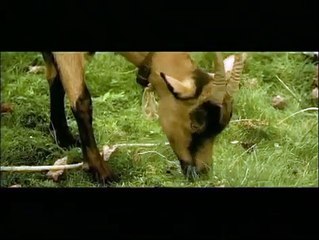 Grégoire Moulin contre l'humanité | movie | 2001 | Official Trailer