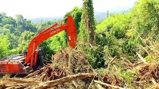 Hitachi 210 MF Excavator Clears Palm Oil Plantations in the Mountains
