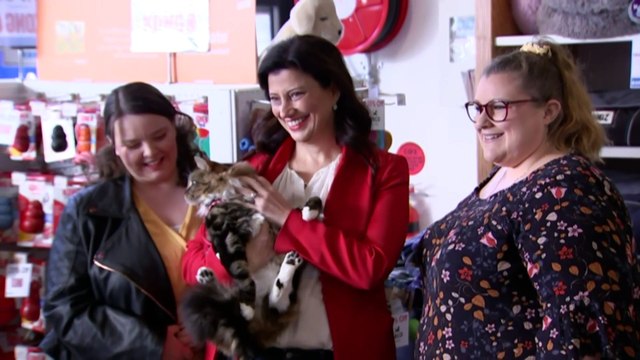 SA government proposes to give tenants the right to own pets