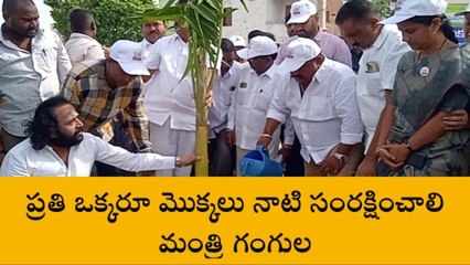 కరీంనగర్: ప్రతి ఒక్కరూ మొక్కలు నాటాలి
