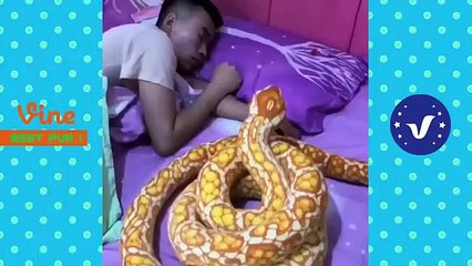 (NEW) Funny Sleeping Scare prank videos compilation