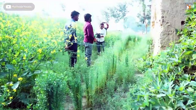 Two Cobra Snake Rescue.How a pair of cobra snakes was caught in a mud house!