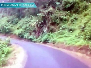 Jalan Raya Kaligua (Video Lama 13 - 09 - 2010) Dengan Pemandangan Hijau Di Alam Sekitarnya