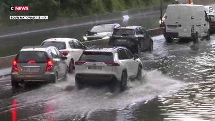Orages : Des arbres arrachés à Paris