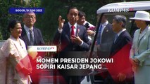 Momen Presiden Jokowi Sopiri Kaisar Jepang Hironomiya Naruhito di Istana Bogor