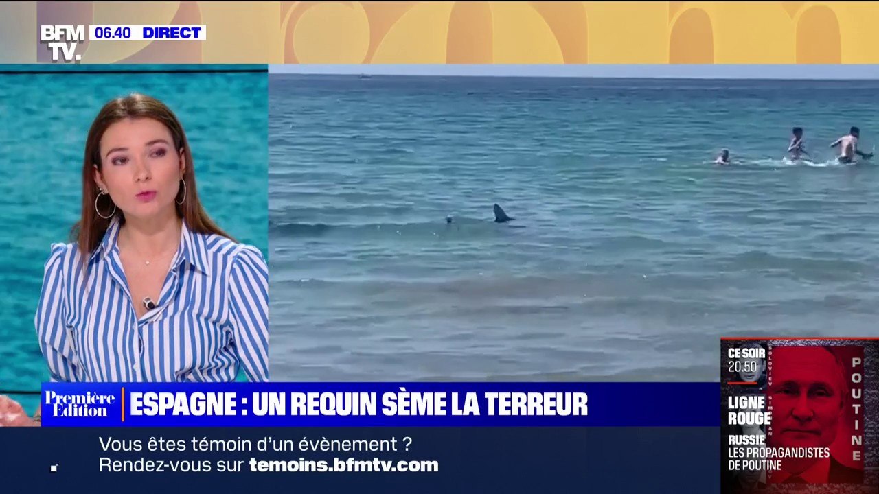 Un requin sème la terreur à quelques mètres des baigneurs à Alicante en Espagne