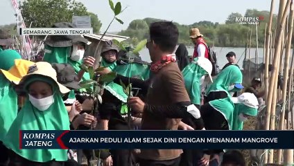 Ajarkan Peduli Alam Sejak Dini dengan Menanam Mangrove
