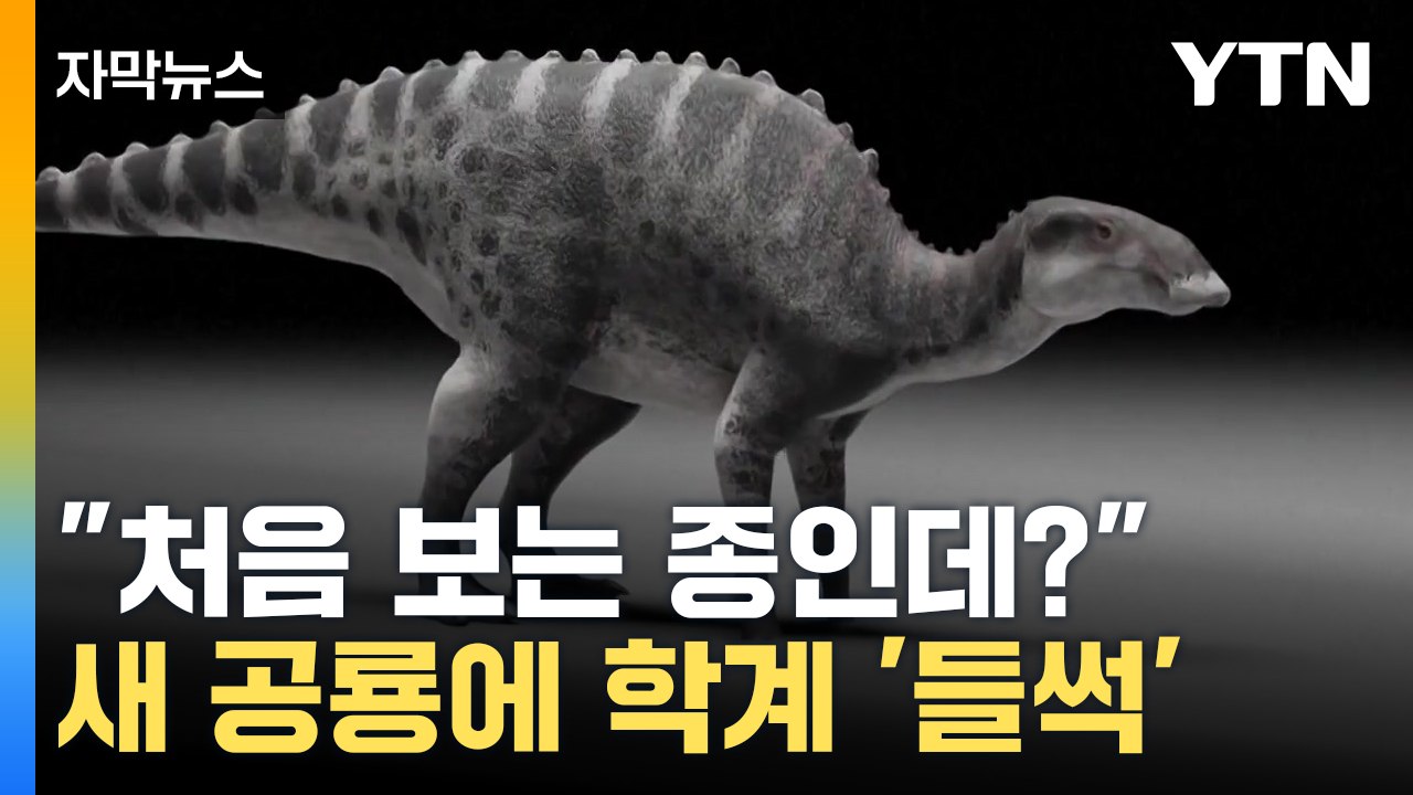 [자막뉴스] "처음 보는 종인데??"...새 공룡에 학계 들썩 / YTN