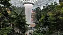 World's Tallest Indoor Rain Water Waterfall #shorts #viral #shortsvideo #video #innovationhub