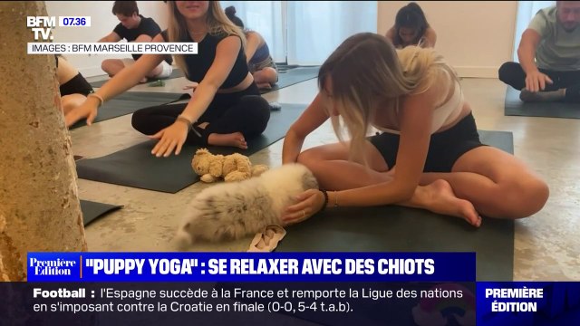 Le Puppy yoga , le nouveau concept pour faire du sport et se relaxer avec des chiots