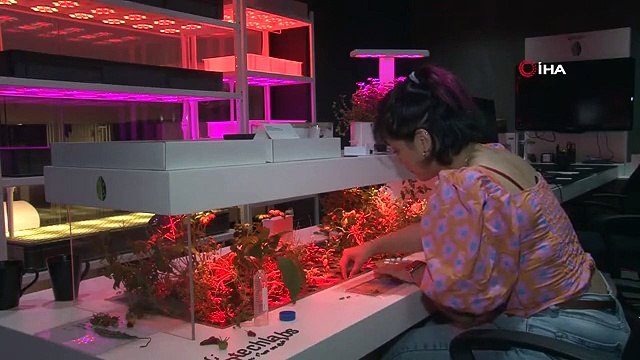 Doğaya atıldığında toprağı besleyen gübre çevreci plastik üretildi