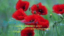 Qu'est-ce que le syndrome du Grand Coquelicot et pourquoi affecte-t-il davantage les femmes ?