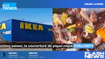 Ikea : Découvrez le produit idéal pour un pique-nique réussi à la plage !