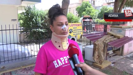 Pitbull beslediği kedilere saldırdı, tartıştığı sahibi burnunu kırdı