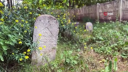 Elazığ'da 200 Yıllık Tarihi Mezarlar Gün Yüzüne Çıkarılmayı Bekliyor