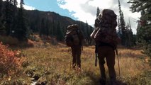 MeatEater - Mountain Meditation British Columbia Grizzly Bear