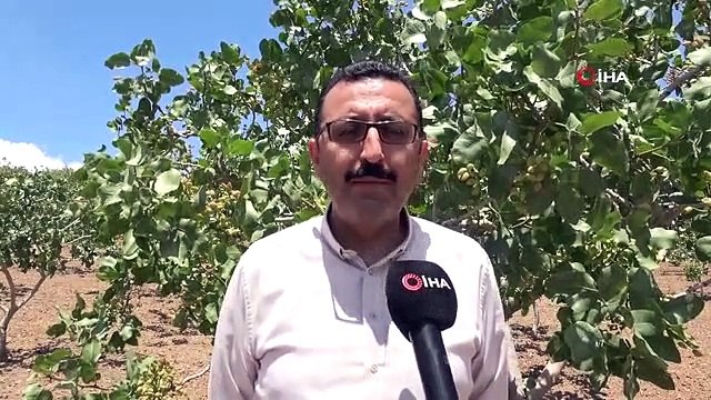 Siirt'ten ülke ekonomisine 10 milyar TL katkı