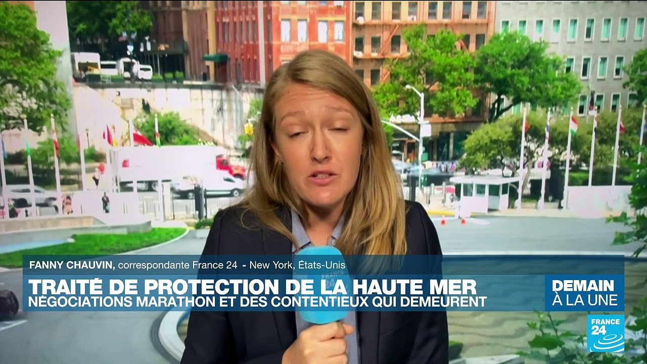 Traité de protection de la haute mer : un traité historique pour la protection de la vie marine