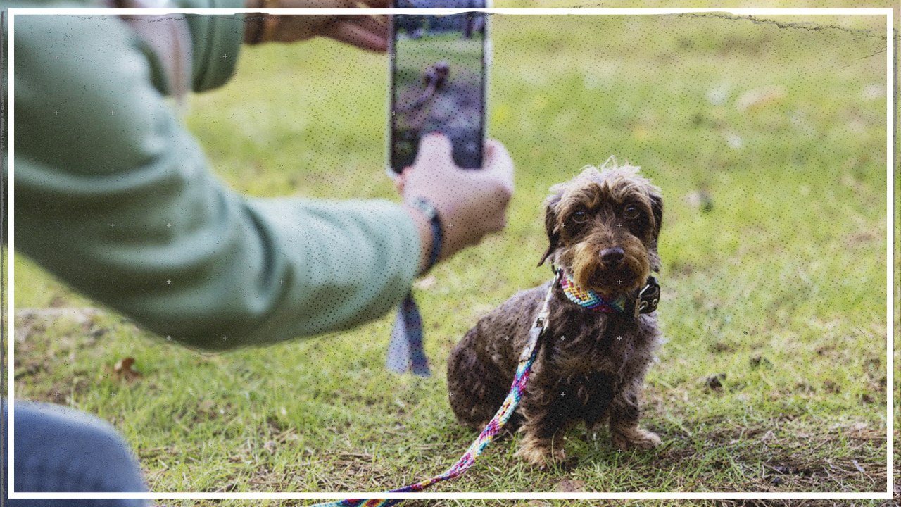 Weltrekord im Gassigehen