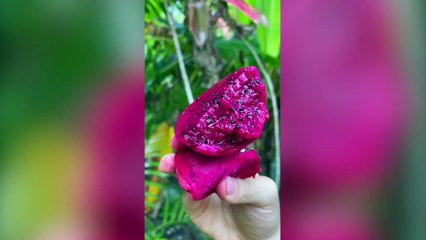 "My old teacher hooked me up with her brother-in-law and now we're 'sisters'"