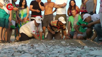 3 gönüllünün çeyrek asırlık caretta caretta mesaisi