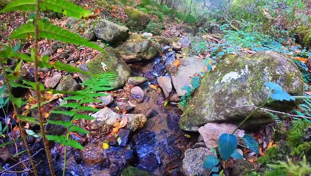 Bien-être eau qui coule - Relaxation détente