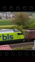 2 JAHRESZEITEN   -   https://youtube.com/@BY_FERAM