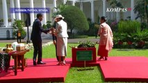 Momen Sigap Presiden Jokowi Bantu Kaisar Jepang Hironomiya Naruhito Usai Tanam Pohon