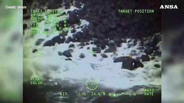 Usa, alla ricerca di Dory: salvato un cane caduto da una scogliera