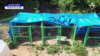 [현장 카메라]후원금 챙기고 보호는 버린 ‘유기견 보호소’