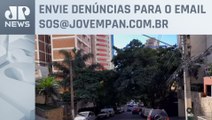 Moradores reclamam de falta de poda de árvores em Perdizes | SOS São Paulo