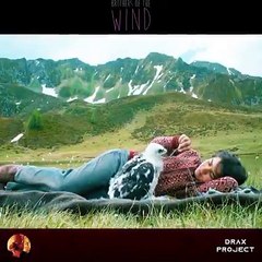 Eagle,s Life Cycle Complete