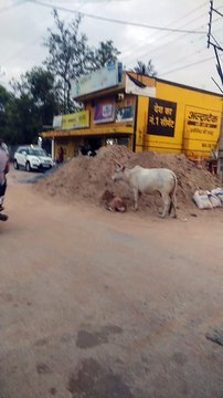 Road Jam