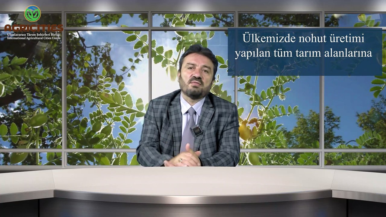 Nohut Antraknoz Hastalığı ve Mücadele Yöntemi