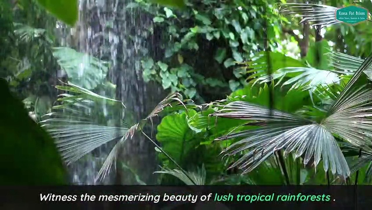 Elevate Your Hawaiian Vacation Unforgettable eBike Tours in Kona, Hawaii